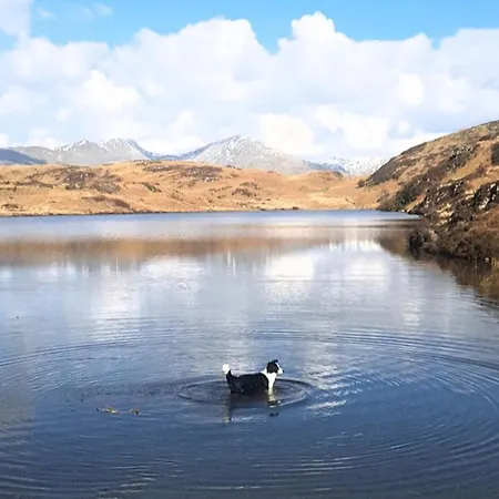 Newly Renovated Lakeland - Pass The Keys